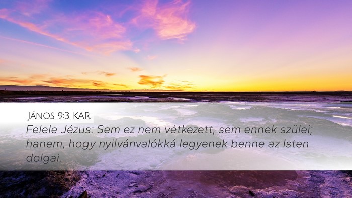 János 9:3 KAR Bible Verse Image