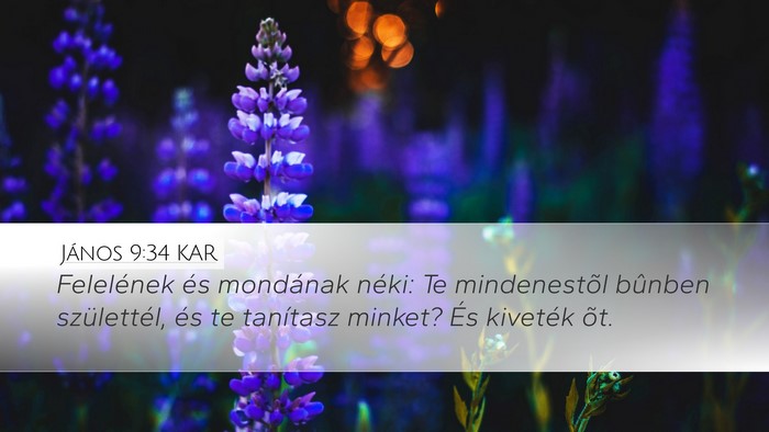 János 9:34 KAR Bible Verse Image