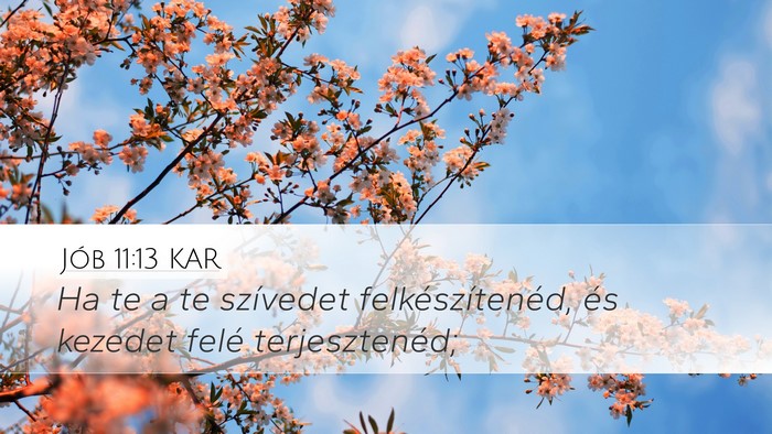 Jób 11:13 KAR Bible Verse Image