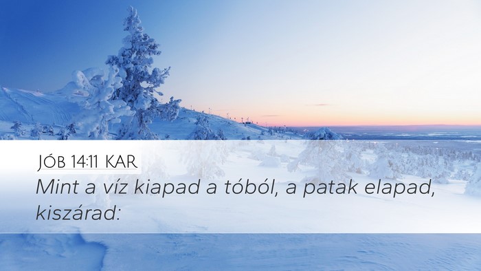 Jób 14:11 KAR Desktop Wallpaper - Mint a víz kiapad a tóból, a patak elapad, - Desktop Bible Verse Wallpaper