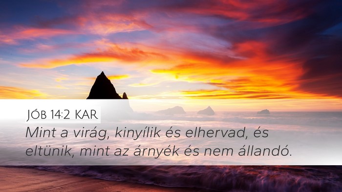 Jób 14:2 KAR Bible Verse Image