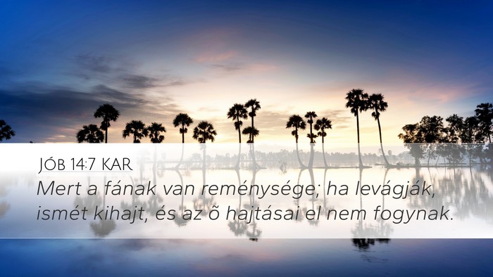 Jób 14:7 KAR Bible Verse Image