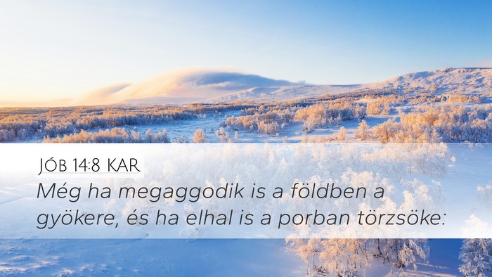 Jób 14:8 KAR Desktop Wallpaper - Még ha megaggodik is a földben a gyökere, és - Desktop Bible Verse Wallpaper