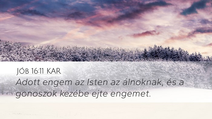 Jób 16:11 KAR Bible Verse Image