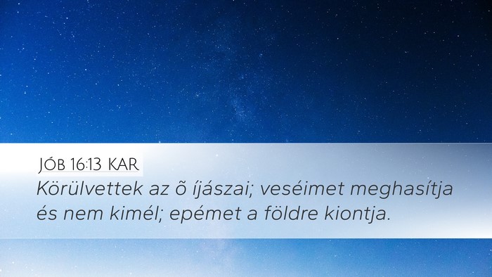 Jób 16:13 KAR Bible Verse Image