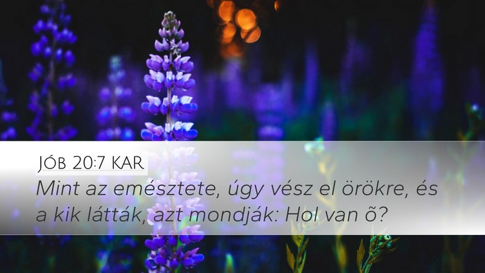 Jób 20:7 KAR Bible Verse Image