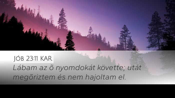 Jób 23:11 KAR Bible Verse Image
