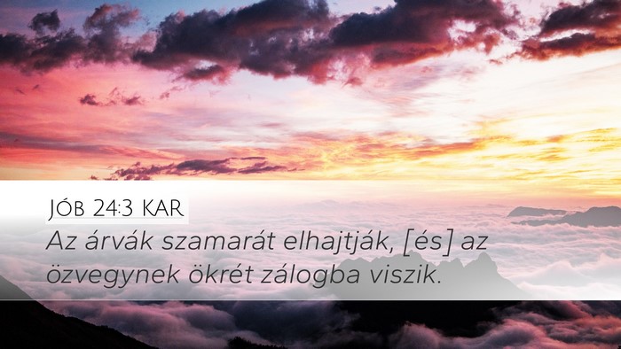 Jób 24:3 KAR Bible Verse Image