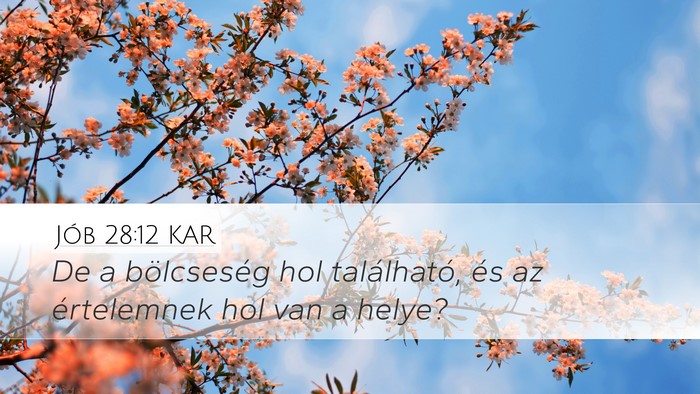 Jób 28:12 KAR Bible Verse Image