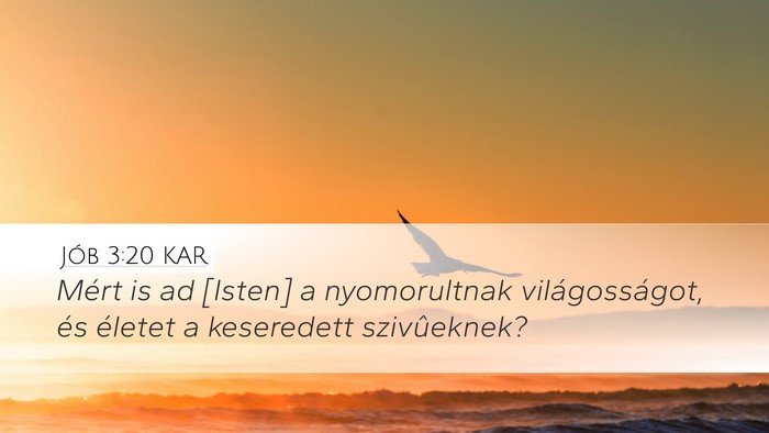 Jób 3:20 KAR Bible Verse Image