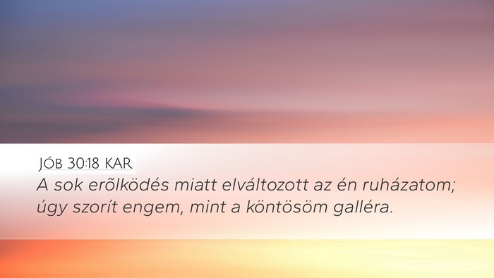 Jób 30:18 KAR Bible Verse Image