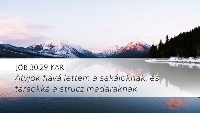Jób 30:29 KAR Bible Verse Image