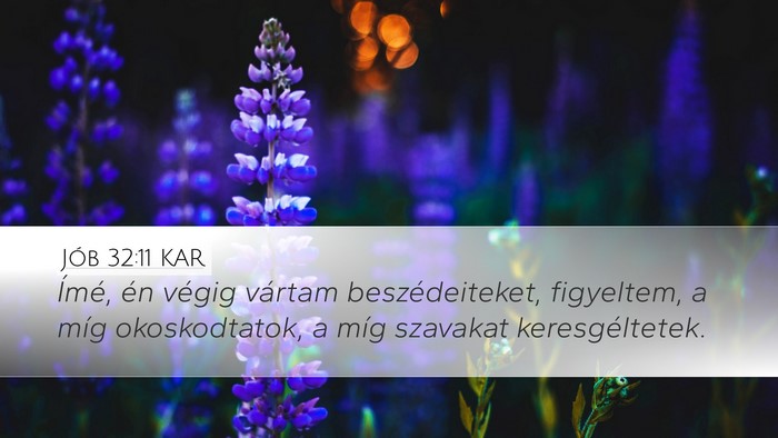 Jób 32:11 KAR Bible Verse Image