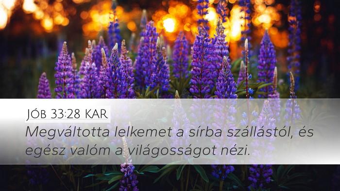 Jób 33:28 KAR Bible Verse Image