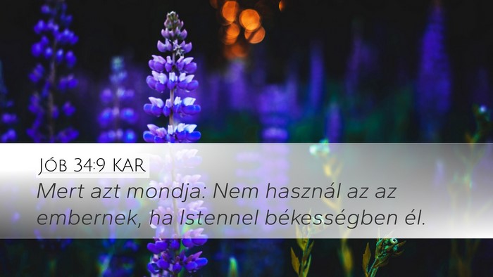 Jób 34:9 KAR Bible Verse Image
