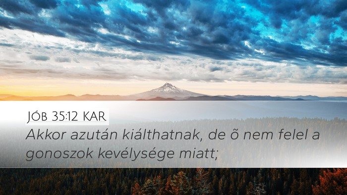 Jób 35:12 KAR Bible Verse Image