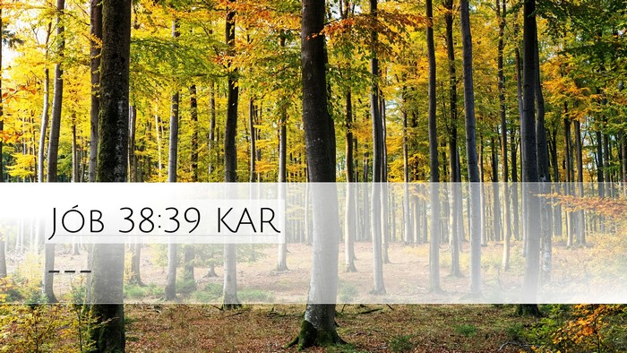 Jób 38:39 KAR Bible Verse Image