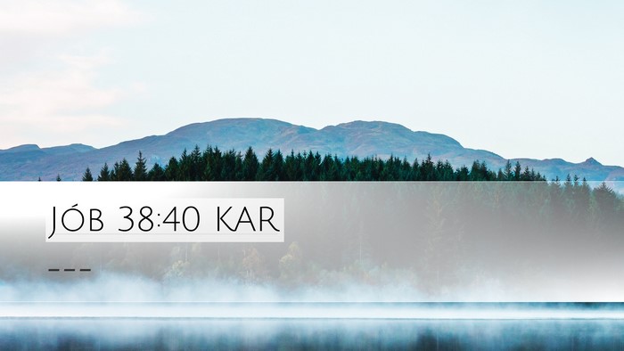 Jób 38:40 KAR Desktop Wallpaper -  - Desktop Bible Verse Wallpaper
