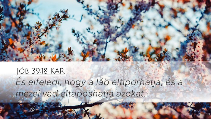 Jób 39:18 KAR Bible Verse Image