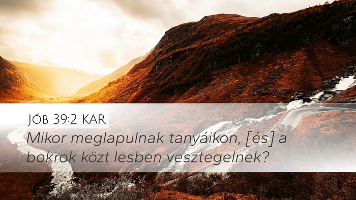 Jób 39:2 KAR Desktop Wallpaper - Mikor meglapulnak tanyáikon, [és] a bokrok - Desktop Bible Verse Wallpaper