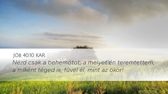 Jób 40:10 KAR Bible Verse Image