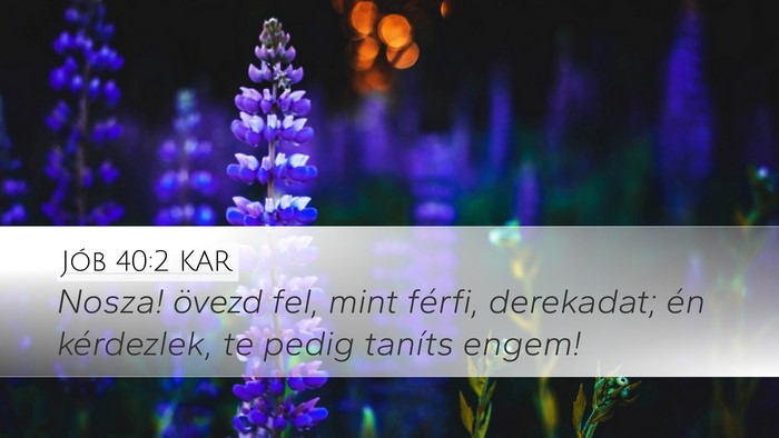 Jób 40:2 KAR Bible Verse Image