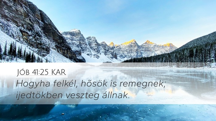 Jób 41:25 KAR Bible Verse Image