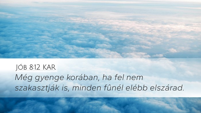 Jób 8:12 KAR Desktop Wallpaper - Még gyenge korában, ha fel nem szakasztják is, - Desktop Bible Verse Wallpaper