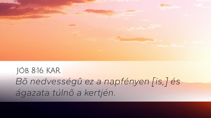 Jób 8:16 KAR Bible Verse Image