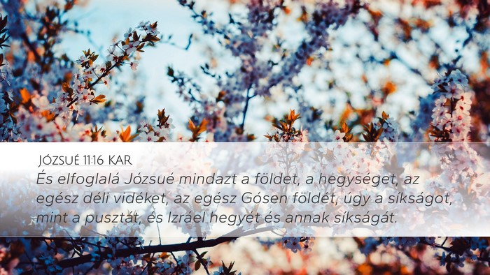 Józsué 11:16 KAR Bible Verse Image