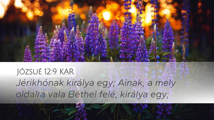 Józsué 12:9 KAR Bible Verse Image
