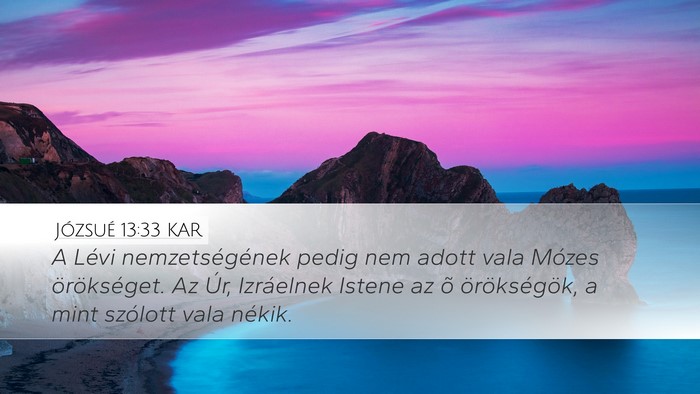 Józsué 13:33 KAR Desktop Wallpaper - A Lévi nemzetségének pedig nem adott vala - Desktop Bible Verse Wallpaper