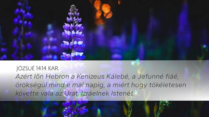Józsué 14:14 KAR Bible Verse Image
