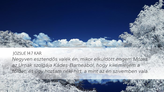 Józsué 14:7 KAR Bible Verse Image