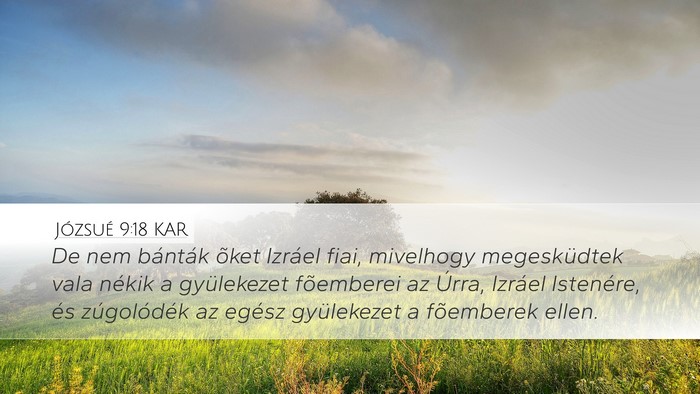 Józsué 9:18 KAR Desktop Wallpaper - De nem bánták õket Izráel fiai, mivelhogy - Desktop Bible Verse Wallpaper