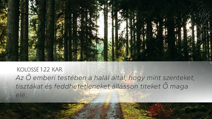 Kolossé 1:22 KAR Bible Verse Image