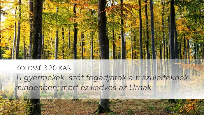 Kolossé 3:20 KAR Bible Verse Image