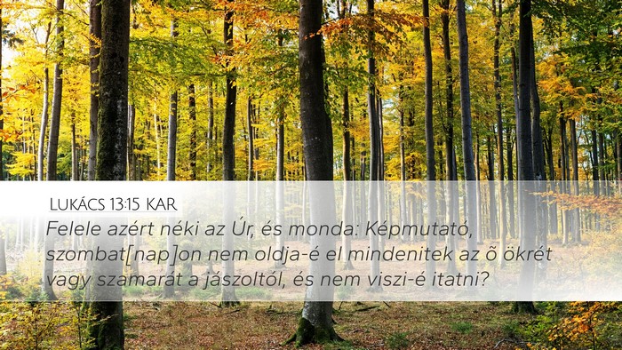 Lukács 13:15 KAR Bible Verse Image