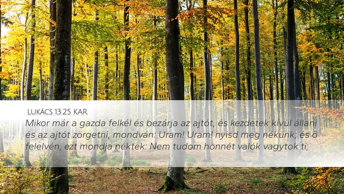 Lukács 13:25 KAR Bible Verse Image