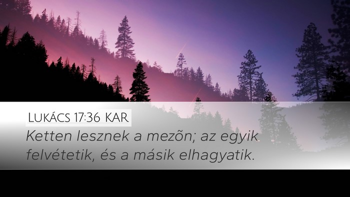 Lukács 17:36 KAR Desktop Wallpaper - Ketten lesznek a mezõn; az egyik felvétetik, - Desktop Bible Verse Wallpaper