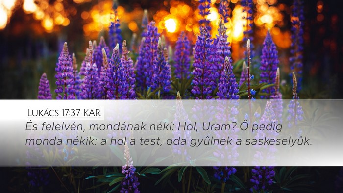 Lukács 17:37 KAR Bible Verse Image