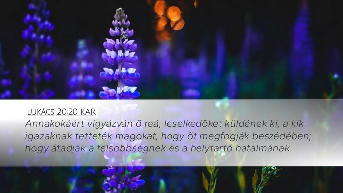 Lukács 20:20 KAR Bible Verse Image