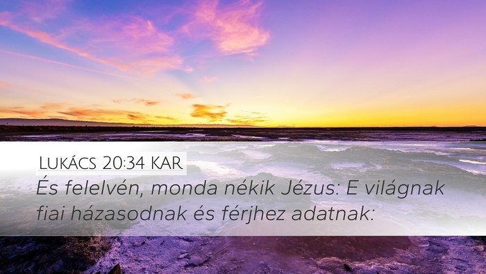 Lukács 20:34 KAR Bible Verse Image