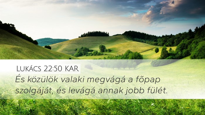 Lukács 22:50 KAR Desktop Wallpaper - És közülök valaki megvágá a fõpap - Desktop Bible Verse Wallpaper