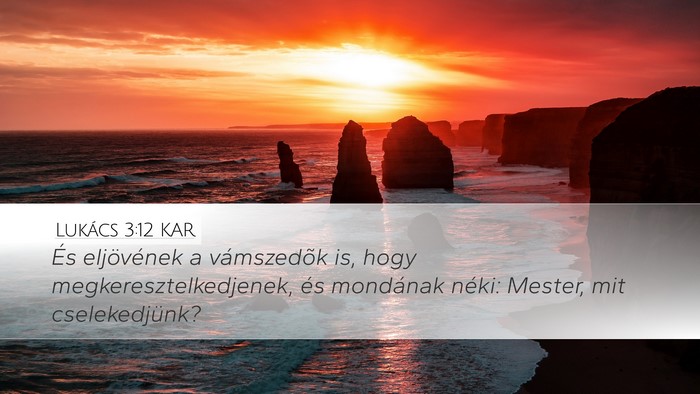 Lukács 3:12 KAR Bible Verse Image