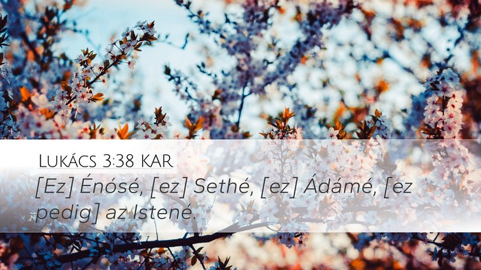 Lukács 3:38 KAR Bible Verse Image
