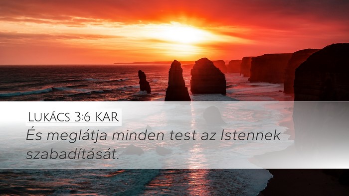 Lukács 3:6 KAR Bible Verse Image
