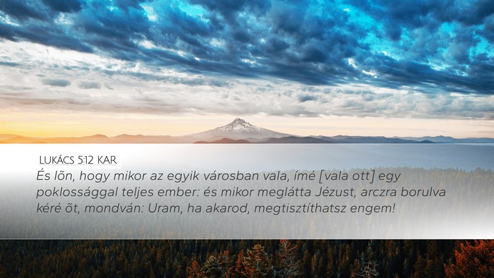 Lukács 5:12 KAR Bible Verse Image
