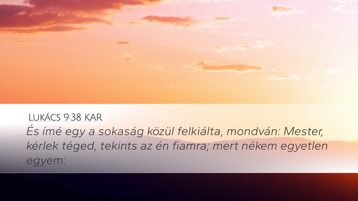 Lukács 9:38 KAR Bible Verse Image