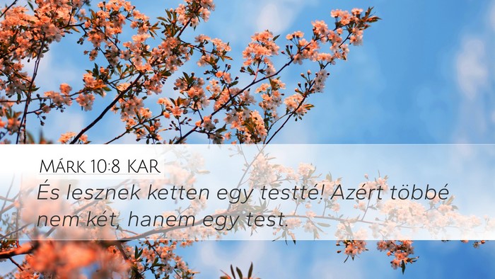 Márk 10:8 KAR Desktop Wallpaper - És lesznek ketten egy testté! Azért többé - Desktop Bible Verse Wallpaper